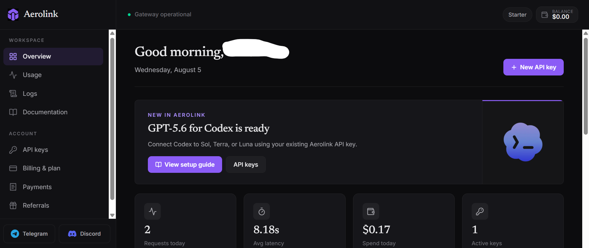 API KEY BUT.png